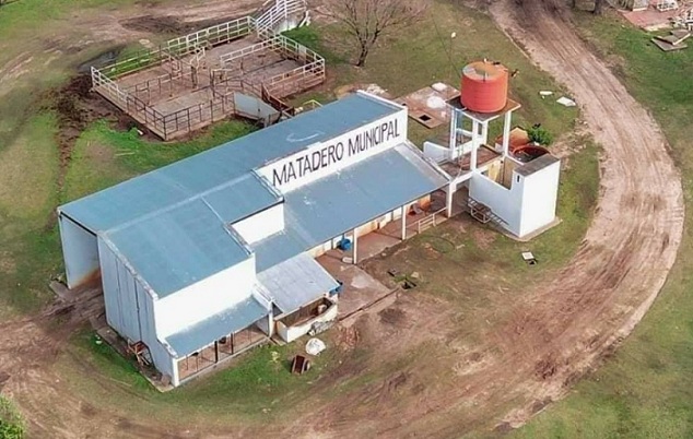 mattedrodel1