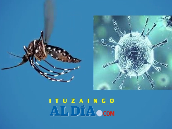Denguecoronavirusitualdia