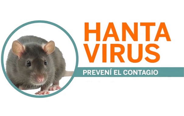 hantavirusraton