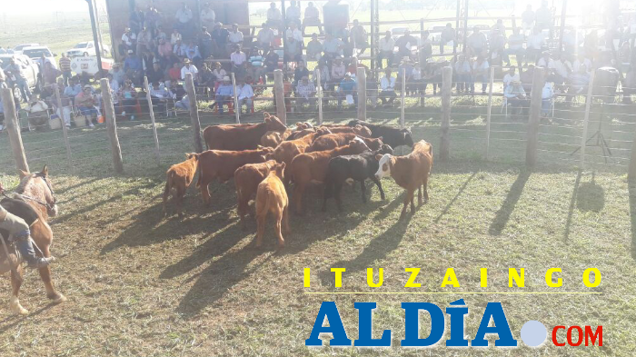 Remategituzaingoaldia