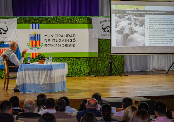 bubalidnosde