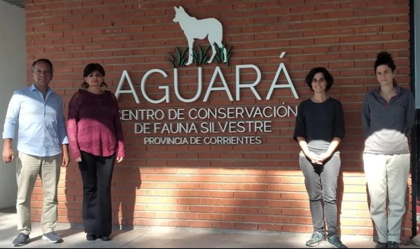 aguajujuy