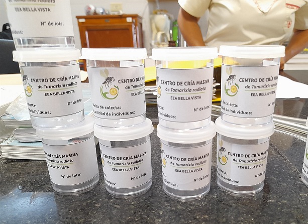 criamaisvatrad