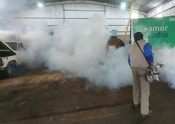 sdoisoamsdengue