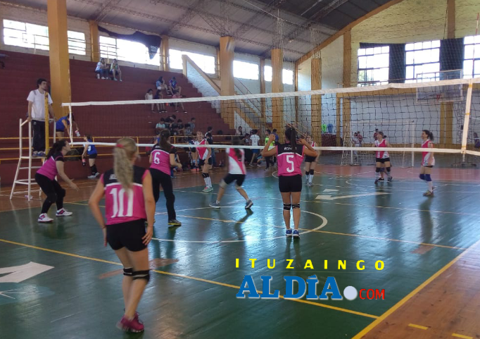 Femevoleyapoitualdia