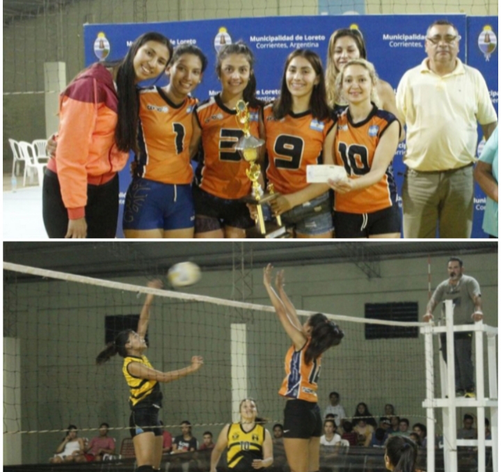 Voleyloretosubitualdia