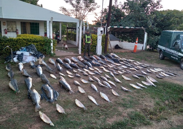 pescadisado