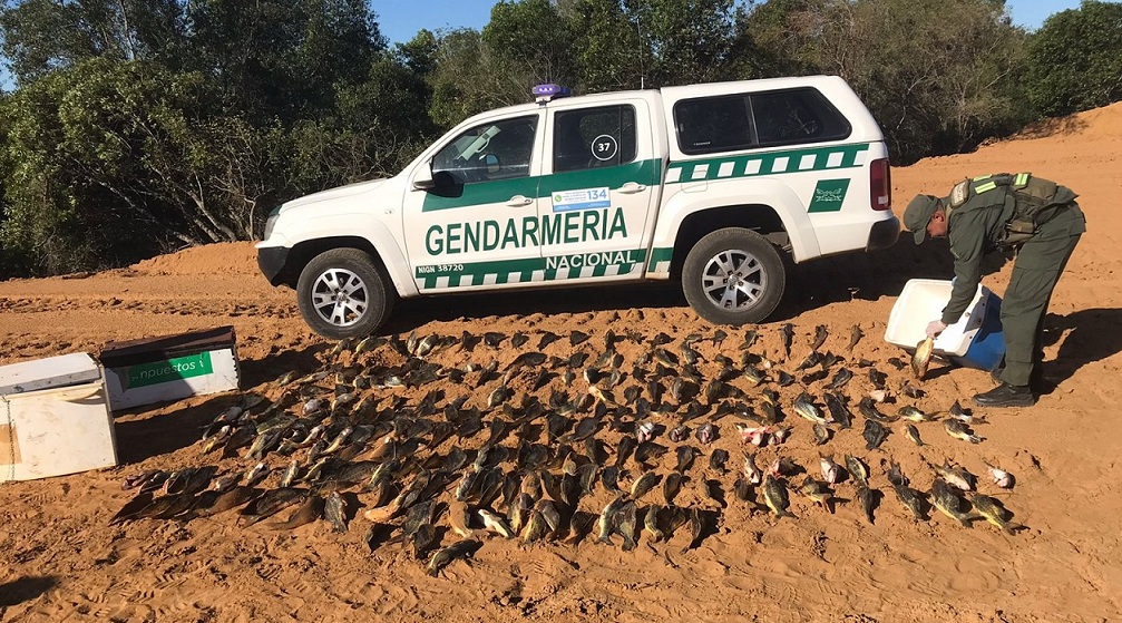 secuestrodebagres