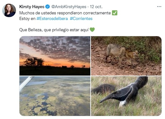 iberhayesdfs
