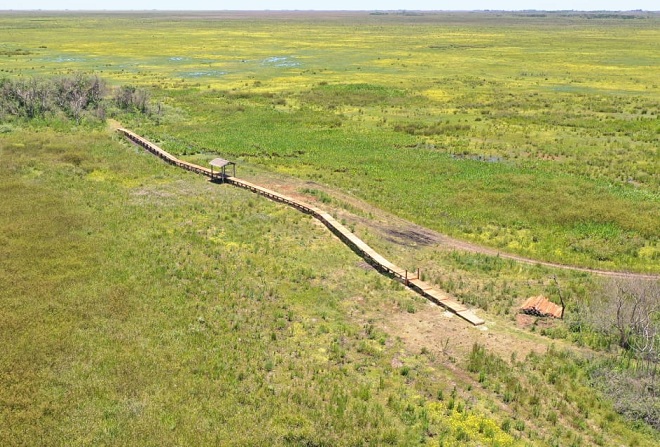 seaguarroibera