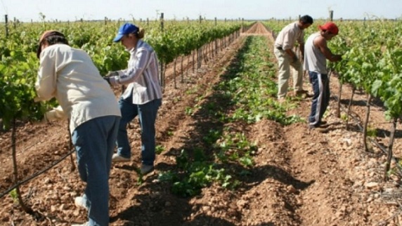 trabajrualesde
