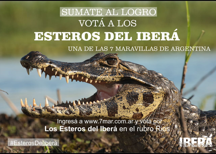 Votiberaitualdia
